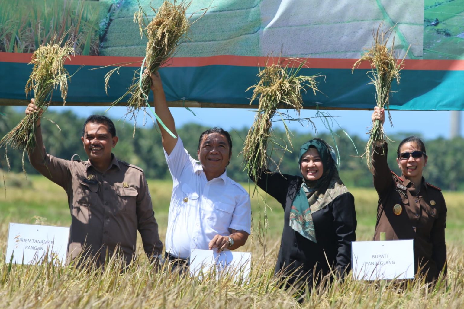 Antisipasi Krisis Pangan, Pemprov Banten Kerahkan Seluruh Tenaga untuk Terus Berikhtiar